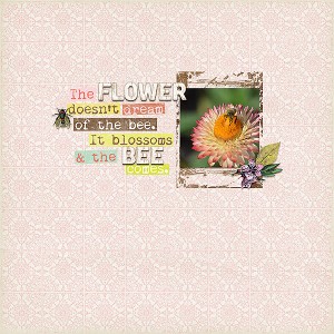 the bee comes