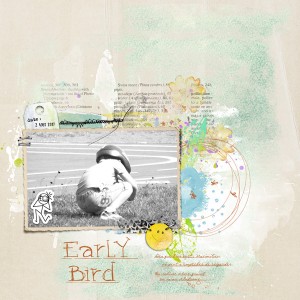 Early bird