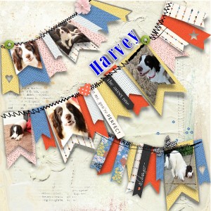 August Scraplift