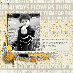 Dandelion-days