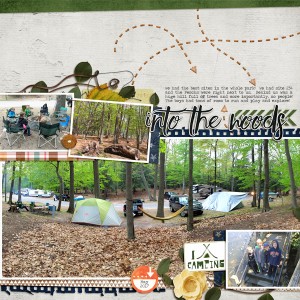 Ludington Camping Page 2