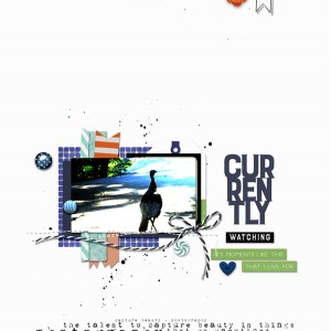 2017-08_August-TLP_Inspiration_web