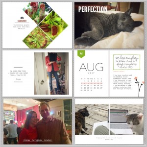 August_left