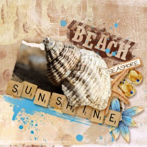 Seashore