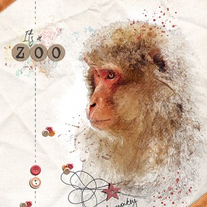 Zoo Monkey