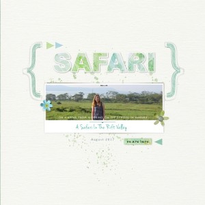 Safari