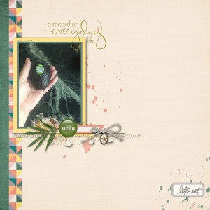 Aug 21 Slow Scrap