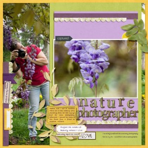 Fiddlesticks24-wisteria