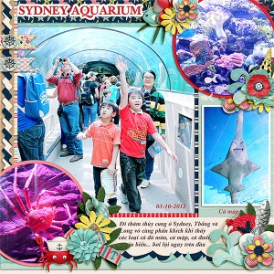 At Sydney Aquarium