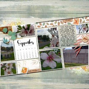 Sept