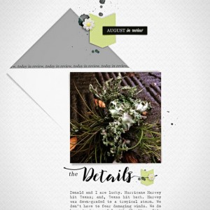 AugustDetails