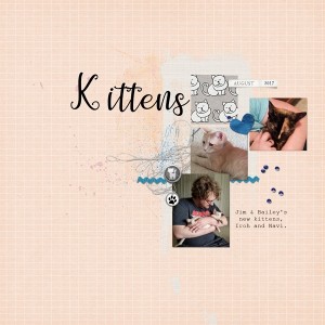 Kittens