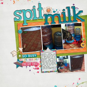 2012-Spit-Milk Challenge Layout