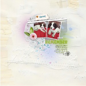 Dawn Inskip Aug-sept Challenge