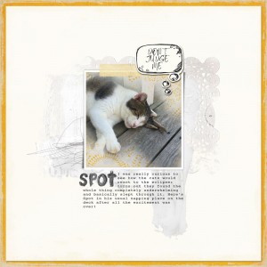 Spot