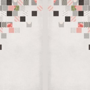Cover Book 13