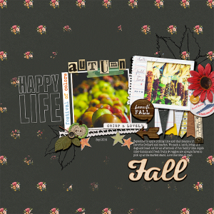 Autumn : A Festival of Colors