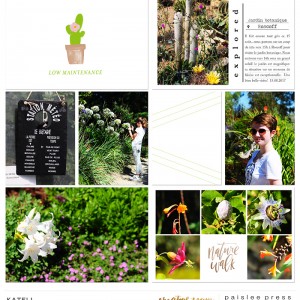 Jardin botanique 1