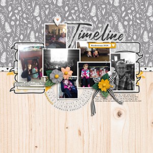 Timeline