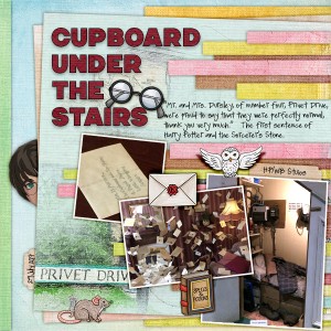Cupboard Under the Stairs