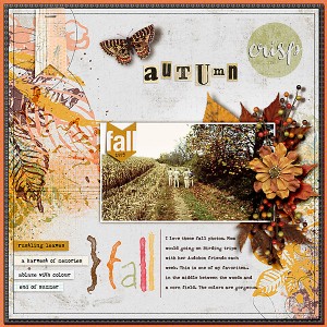 Fall Leaves