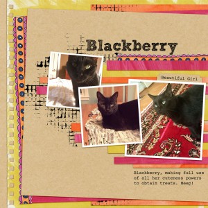 Blackberry