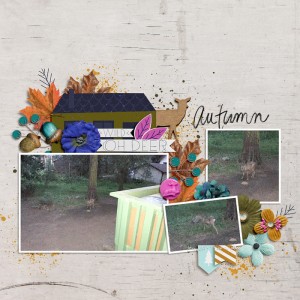 Autumn