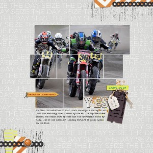 Flat Track Races