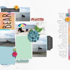 Bear @ the Beach