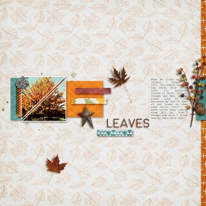 Leaves
