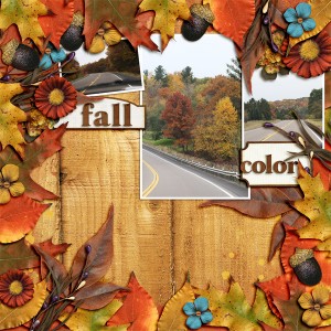 Fall Color