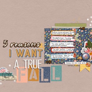 5 Reasons I Want a True Fall