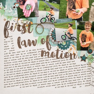 First Law of Motion