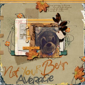 Not Your Average Bear