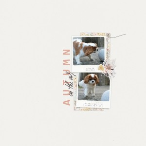Slow Scrap - September 17