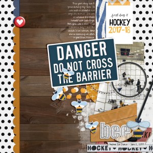 Danger Do Not Cross Barrier