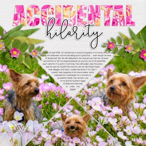 Accidental Hilarity (Scraplift Challenge, Aug 2017)