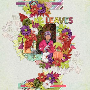 Leaves