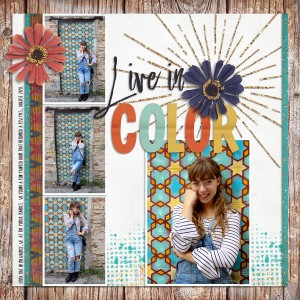 Live-in-Color