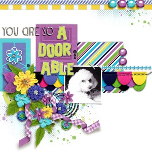 A-DOOR-able