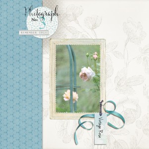 Vintage Rose
