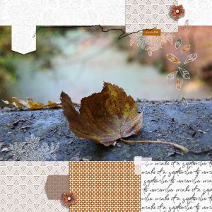 WonderFall