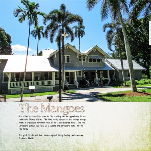 The Mangoes - Henry Ford's Winter Estate, left