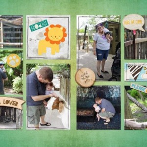 Lion Country Safari
