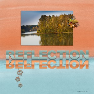 Reflection