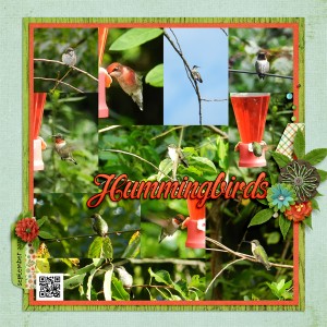 Hummingbrids
