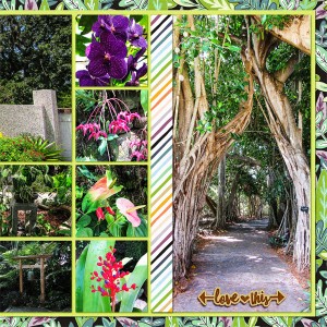 Selby Gardens2, right
