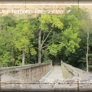 ATC-2017-141-Hoover-Nature-Preserve