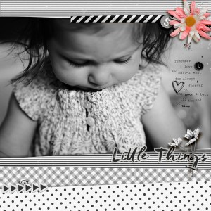 2017-6-28-stella-big-_3web