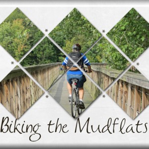 Biking-the-Mudflats